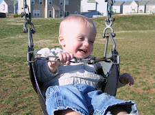 Fun on the Swings