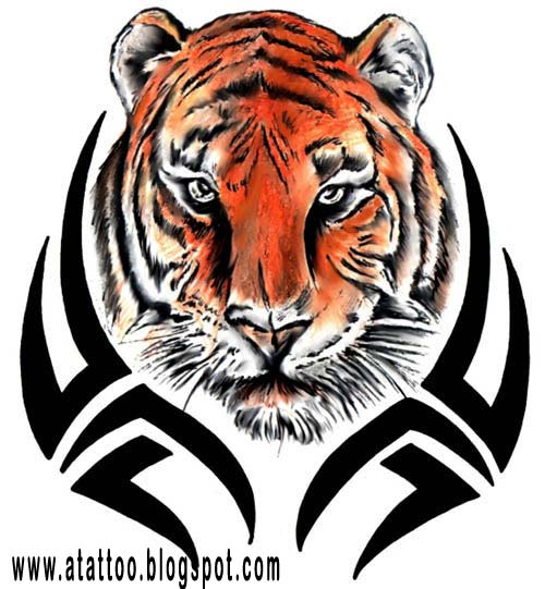 [tigre+with+tribal.jpg]