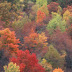 Insider Fall Travel Tips