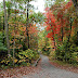 Fall Color Pictures at North Carolina Arboretum