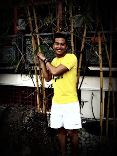 around the bamboo again