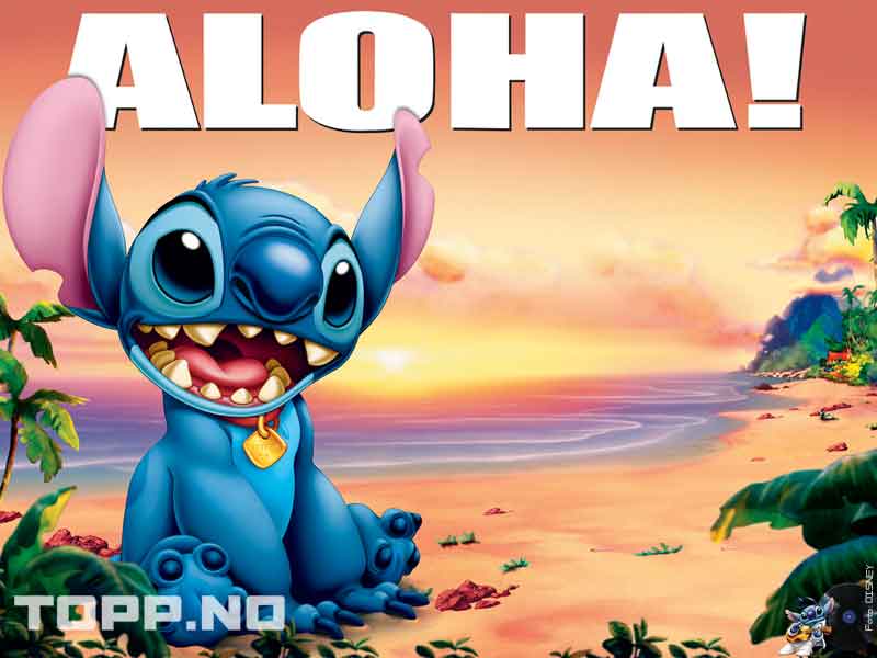 Aloha Stitch