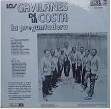 gavilanes de la costa