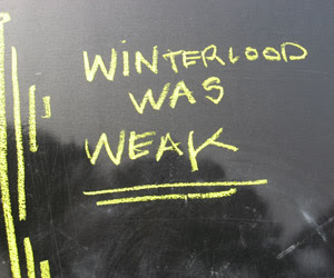Winterlude 01