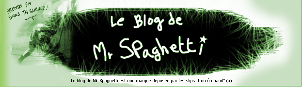 Le Blog de Mr Spaghetti