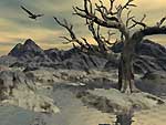 [150Miscellaneous12.jpg]