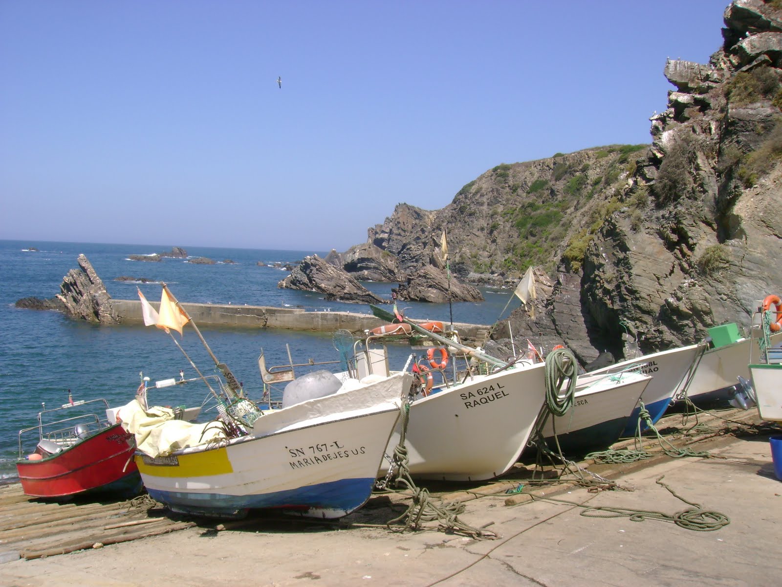 [DSC05748.JPG]