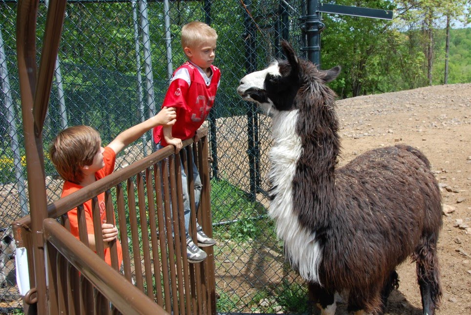The coolest zoo that's not a zoo! Nemacolin