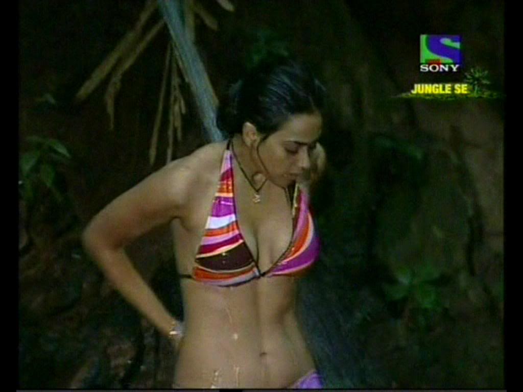 shweta tiwari bikini