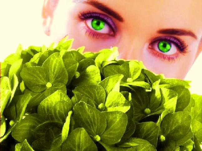 Perfect guide for healthy and beautiful you...