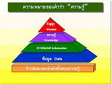 การจัดระบบเทคโนโลยีสารสนเทศ