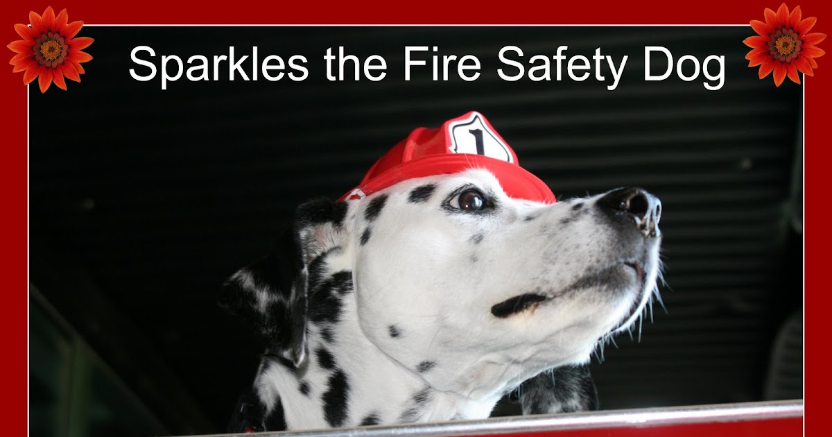 Sparkles the Fire Safety Dog Sparkles the Fire Safety Dog 19982010