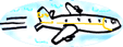 [aviao.gif]