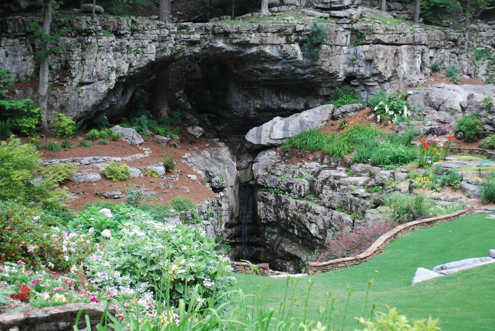 Richards Travels Back to Natural Bridge in Guntersville