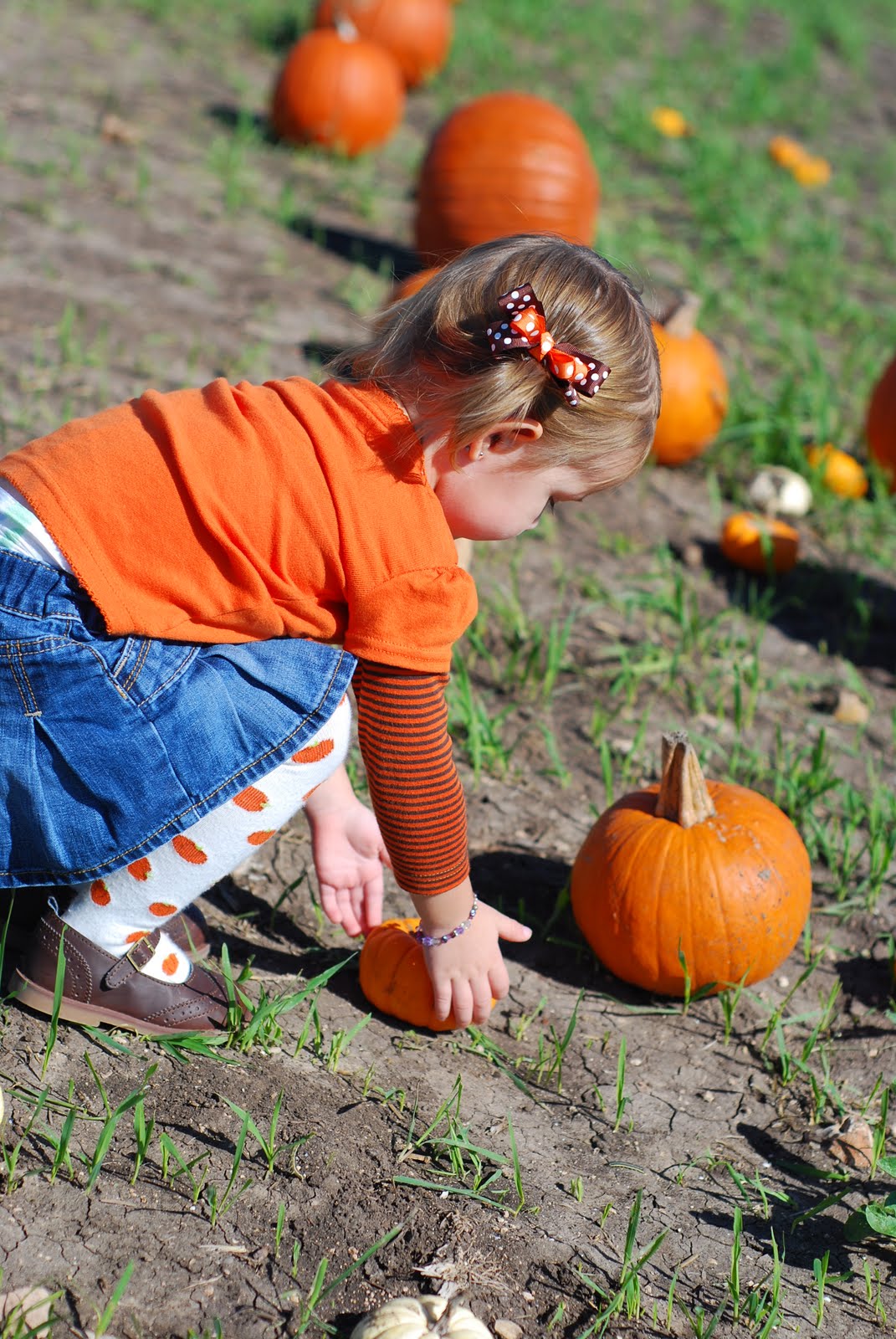 [DSC_0115.JPG]