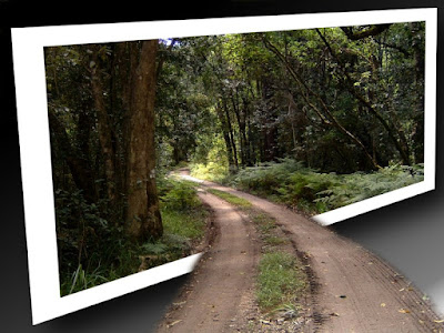 Idealistic Image Editing