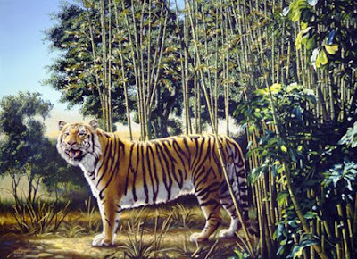 The Hidden Tiger Illusion