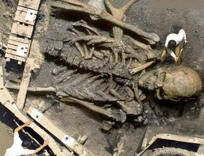 Giant Skeletons