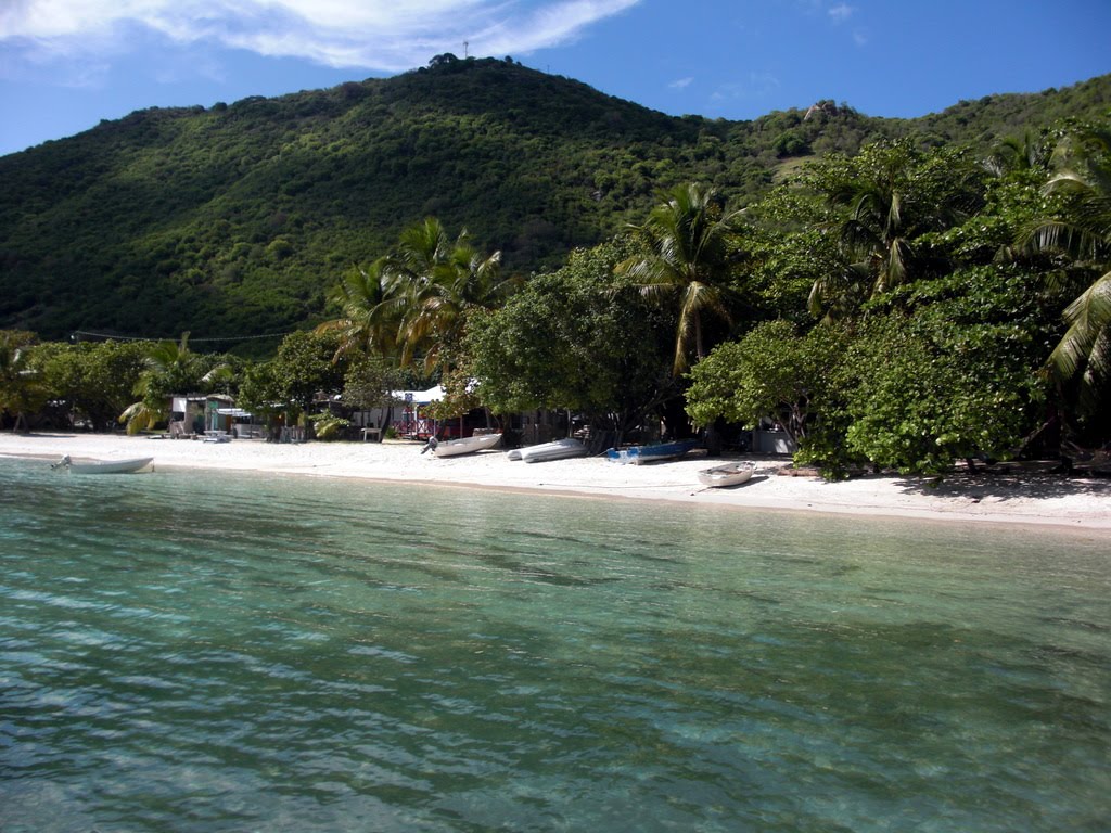 LinoCat Great Harbour on Jost van Dyke, BVI