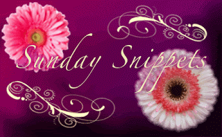 Sunday Snippets #7