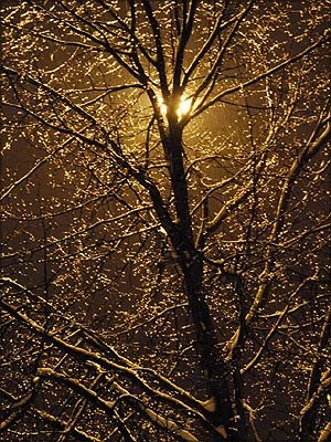 [night_snow_300x400.jpg]