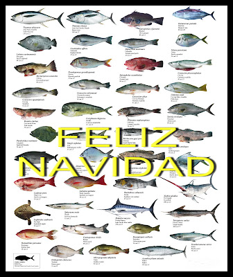 INCLUIR PAGINA YAHOO incluir pagina yahoo: