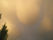Transforming Cloud at Sunset