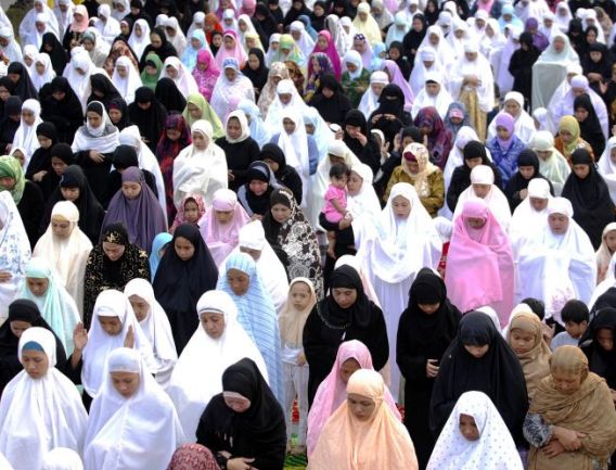 manila muslim 1000 manila tel no: (02) 523-2113, (02) 552-9631 fax no: (02) 552-9524 abubakar, carmen a, ph d member, shari'a and islamic jurisprudence. manila muslim 1000 manila tel no: (02) 523-2113, (02) 552-9631 fax no: (02) 552-9524 abubakar, carmen a, ph d member, shari'a and islamic jurisprudence.