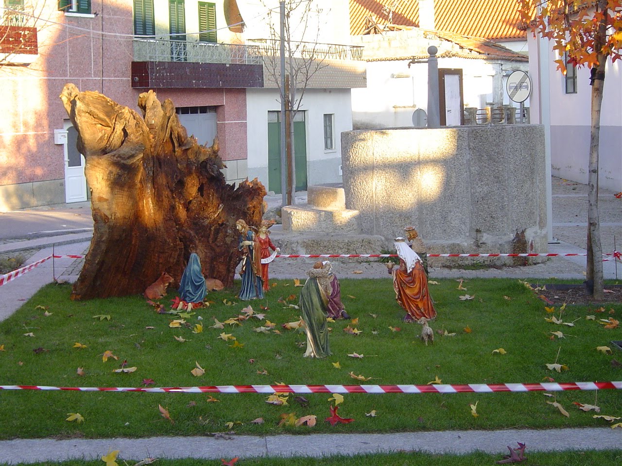 [DSC02361.JPG]