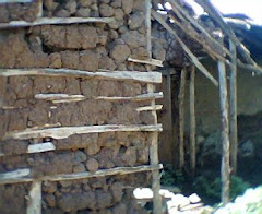 These Are Shelters for People Living In Dambuza