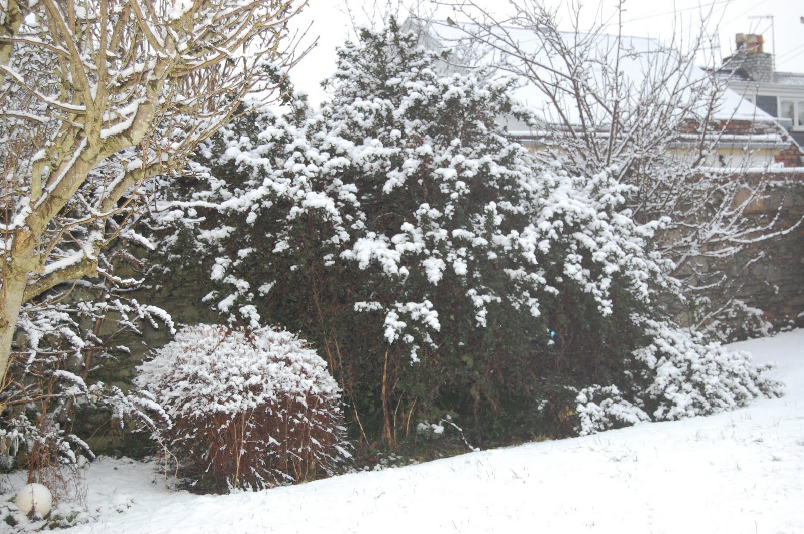 [DSC_0346.JPG]