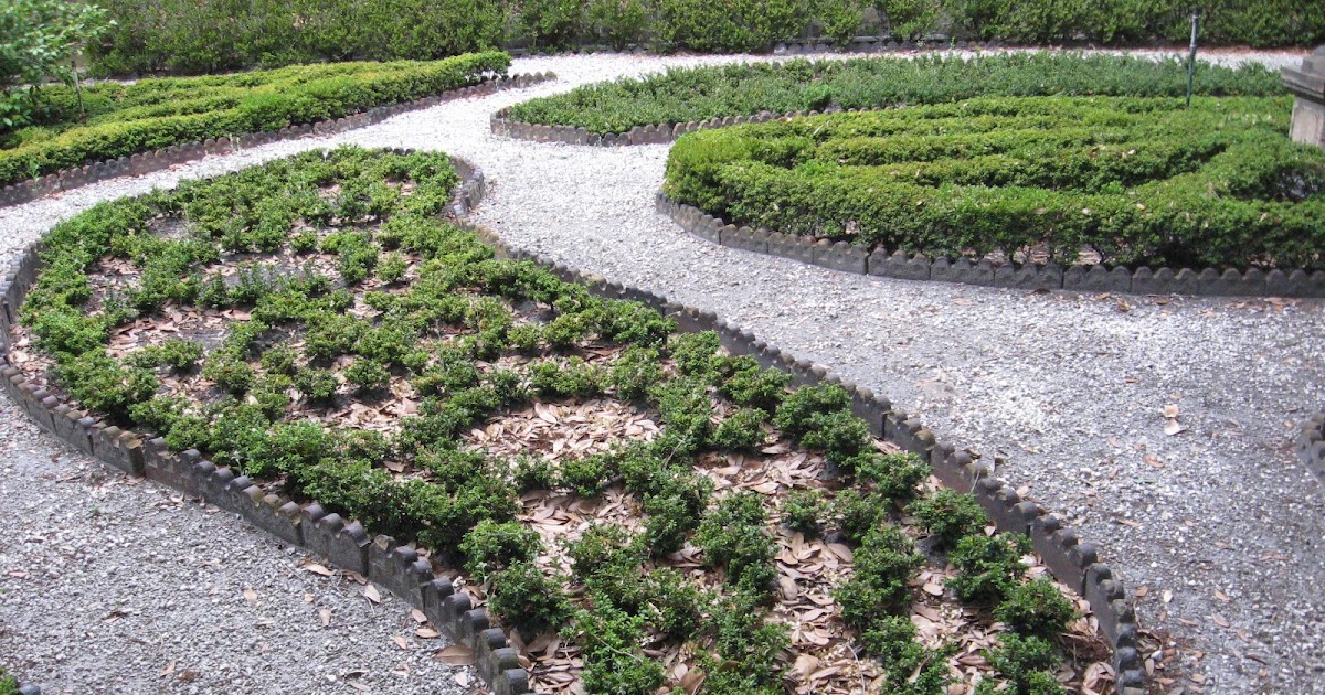 The Plant Hunter Boxwood Alternatives