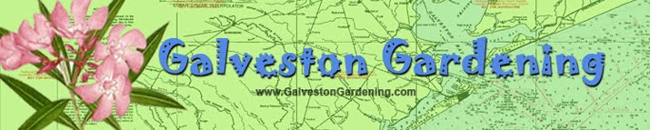 Galveston Gardening