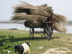 Transport by Rickshaw