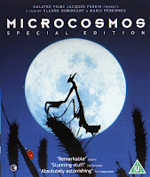 image without alternative text