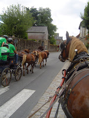 Championnat de France de trec attelé