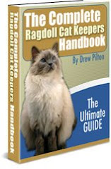 Ragdoll Cat Care