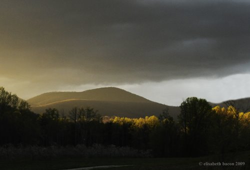 [_DSC2282AFTER+THE+STORMwc.jpg]