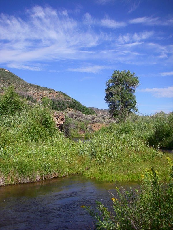 Utah Water Log Currant Creek Reservoir