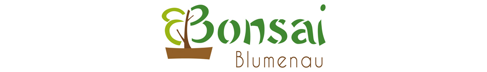 Bonsai Blumenau