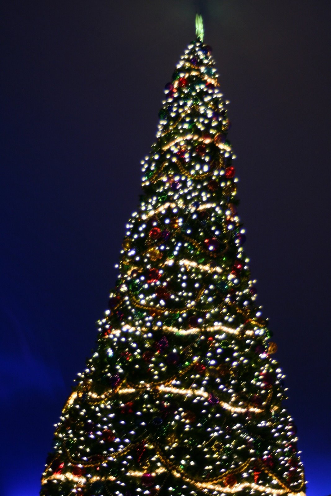 [IMG_3153.JPG]