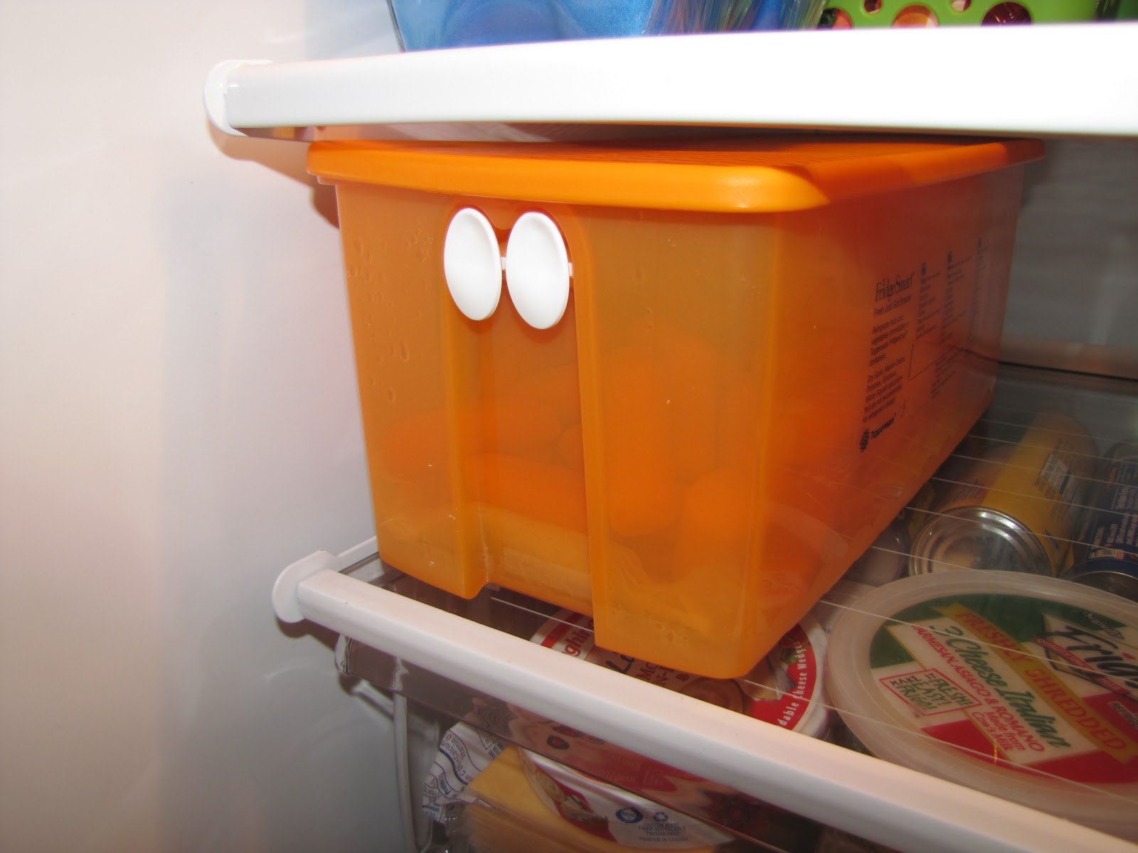 Sustainably Chic Designs ORGANIZATION The Fridge Day 16