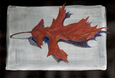 oak leaves drawing