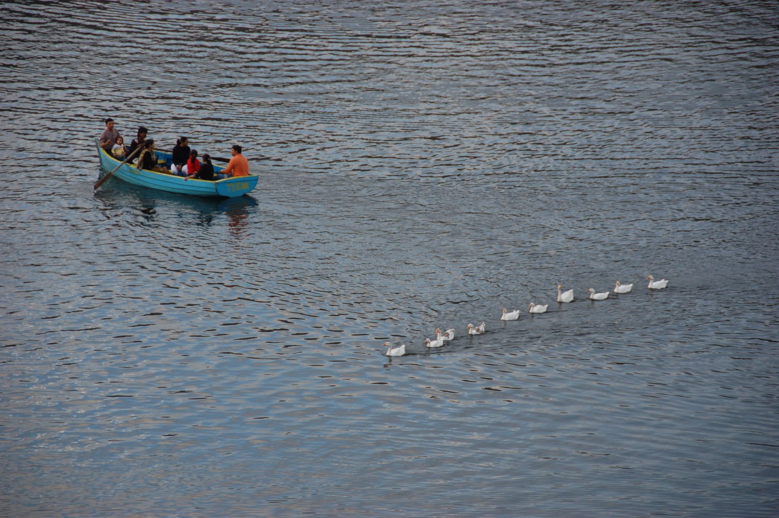 [DSC_5323.JPG]