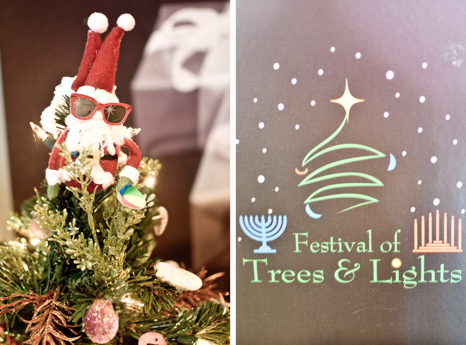 ♥ Falling For Louisville ♥ ♥ Festival of Trees & Lights ♥