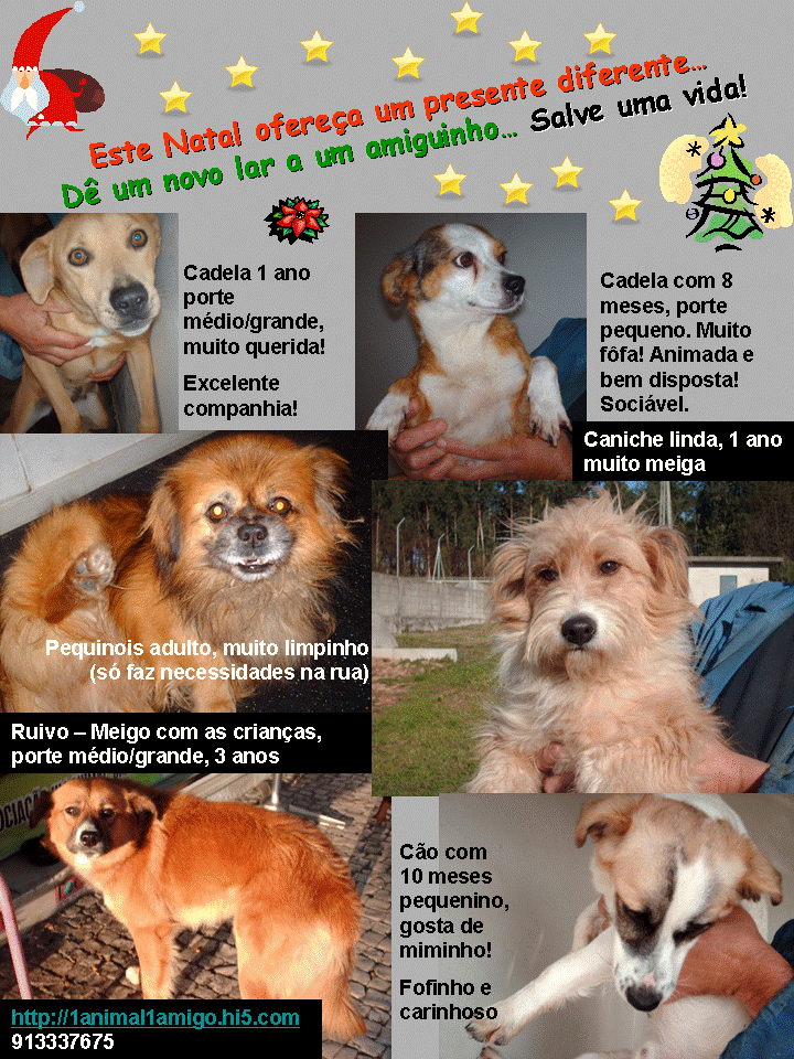 [Natal.gif]