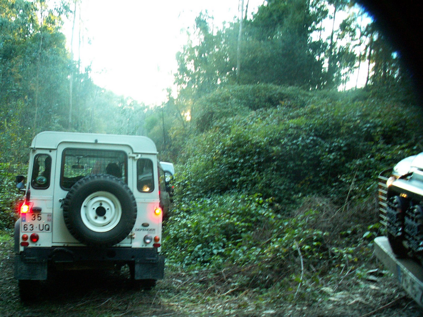 [PICT3172.JPG]