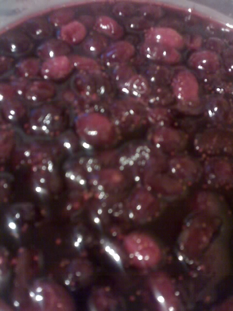 [11-27-08_1653.jpg]