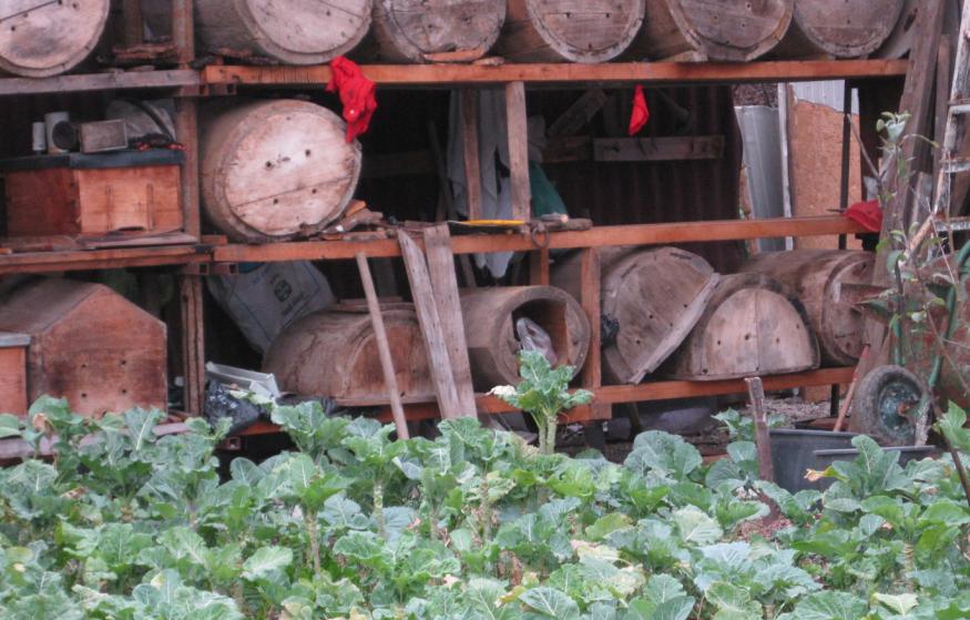 [karakovan+çeşitleri.JPG]