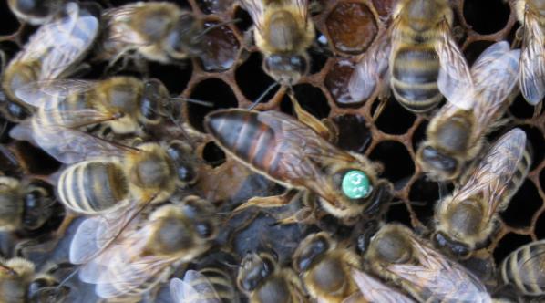 [65nolusafkarniol.JPG]